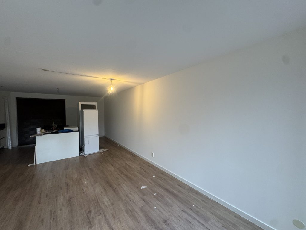 Doorlopende woonkamer met open keuken, laminaatvloer en een gladde lichte wand